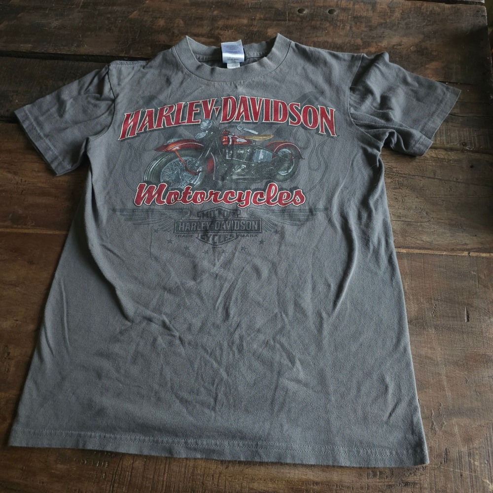 Harley Davidson T-Shirt Gray Graphic Perrysburg Ohio Signatures Mens Small S